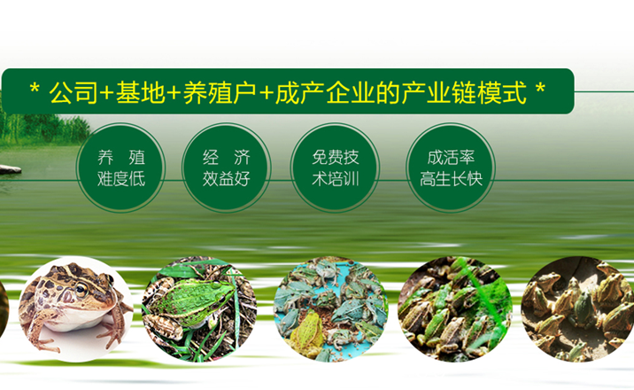 南京清色風農業發展有限公司